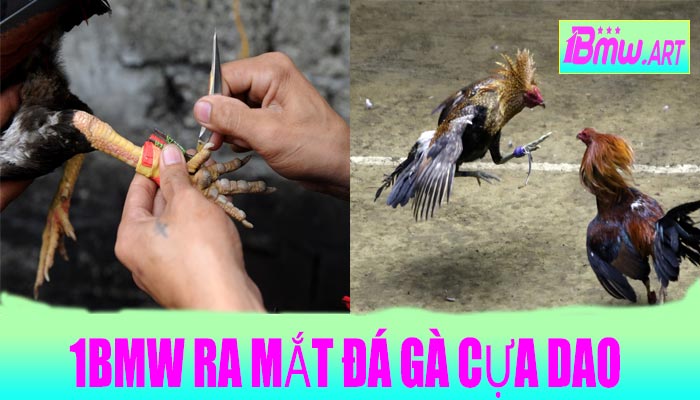 1BMW Ra Mắt Đá Gà Cựa Dao