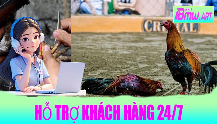 Hỗ trợ khách hàng 24/7