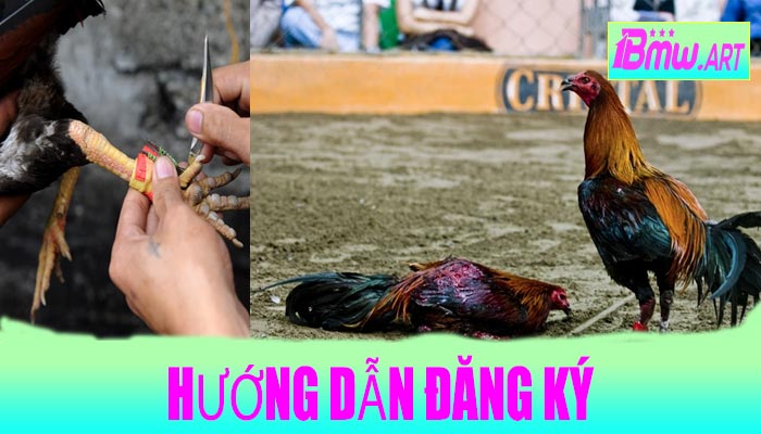 Hướng dẫn đăng ký