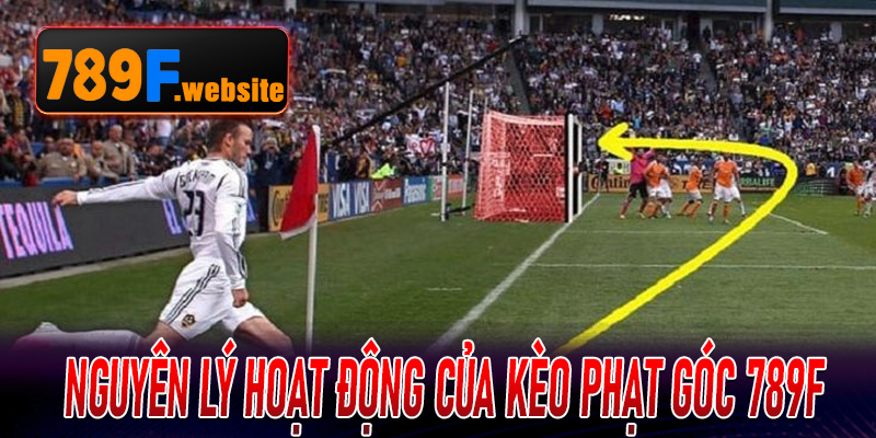 Nguyên lý hoạt động của Kèo Phạt Góc 789F và lý do được cược thủ tin dùng