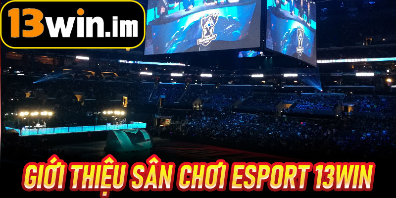 Giới thiệu Sân chơi Esport 13win