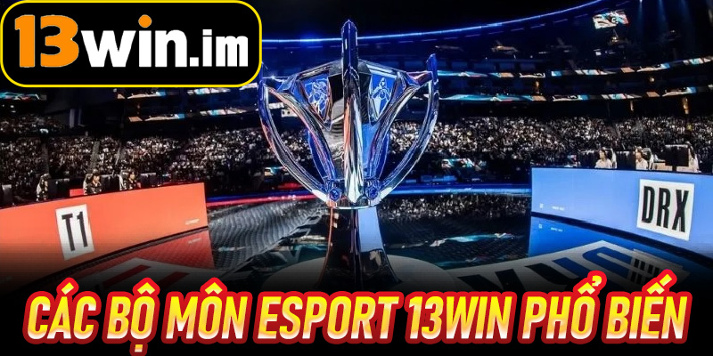 Các bộ môn Esport 13win phổ biến