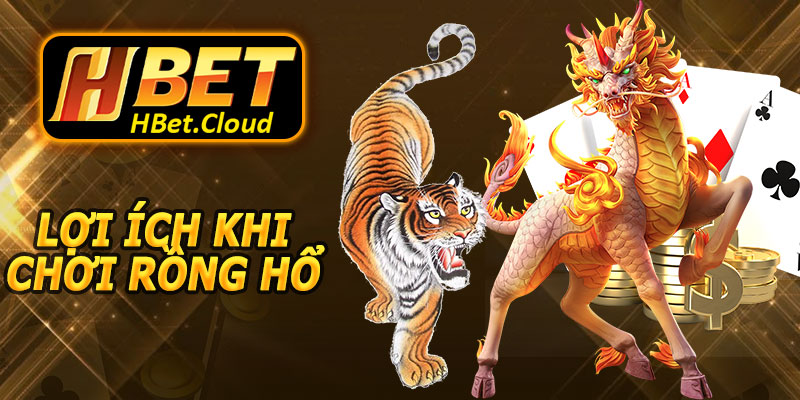 Lợi Ích Khi Chơi Rồng Hổ HBET