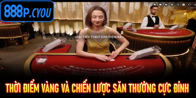 Thời điểm vàng và chiến lược săn thưởng cực đỉnh